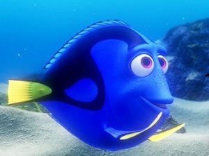 img 6274d6f189d8b - 5 Reasons My Adult Life Resembles ‘Finding Nemo’s Dory’